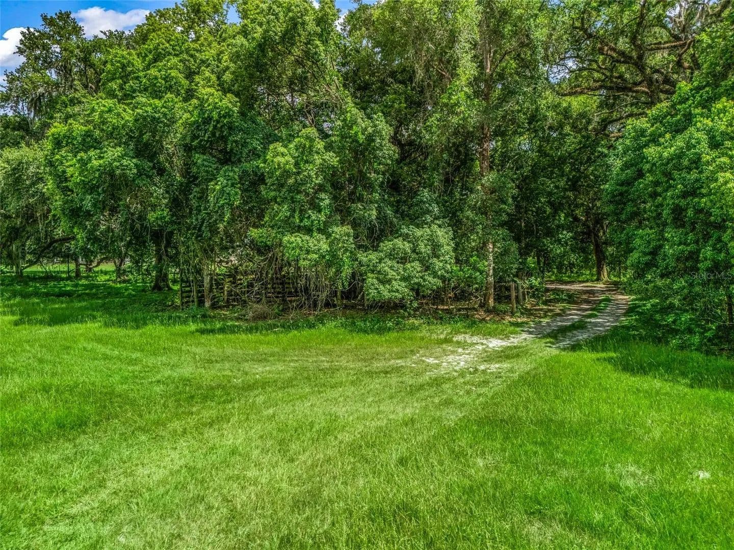 Vacant Land (0-10 Acres) in Webster - Webster, Florida, 33597