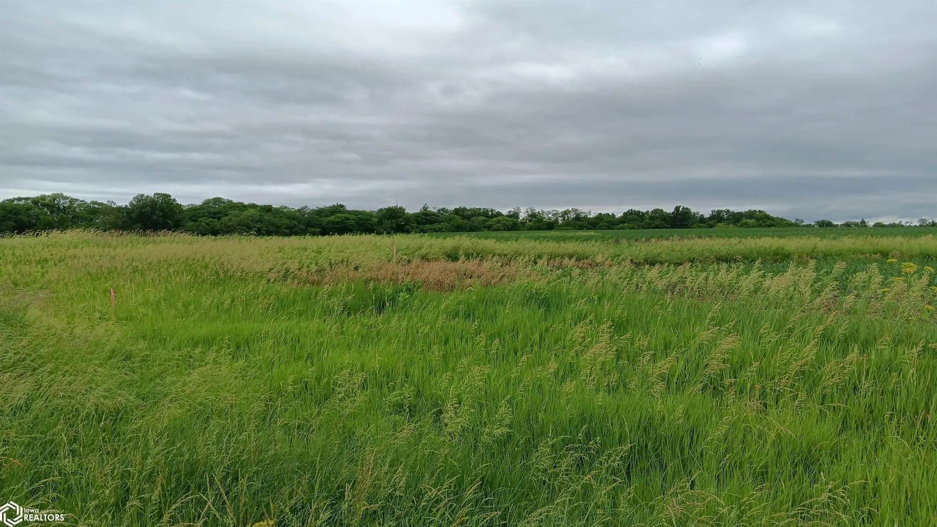 51 Acres of Land for Sale in Batavia, Iowa - Batavia, Iowa, 52533