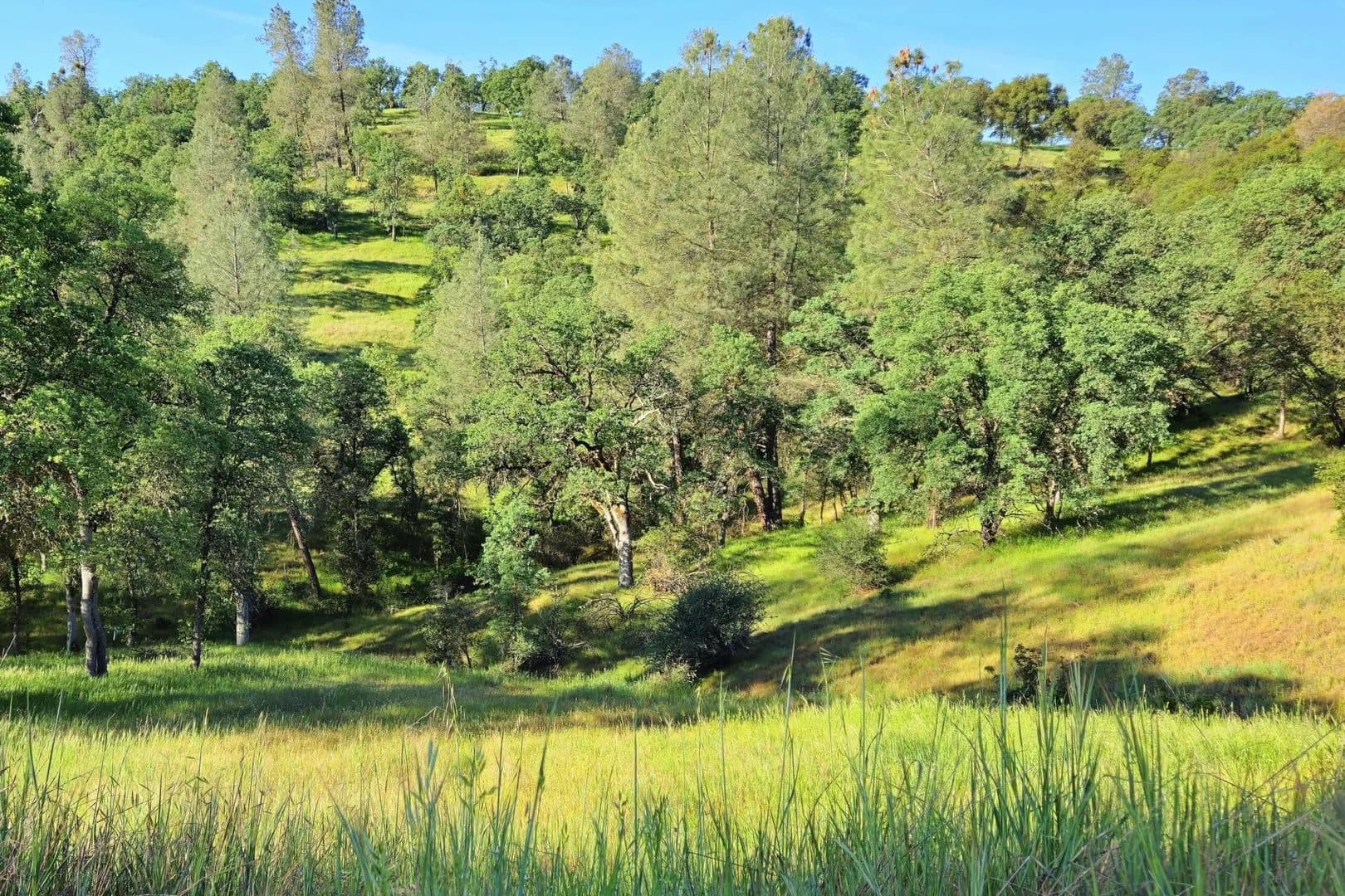 Sierra Vista Estate - Coulterville, California, 95311