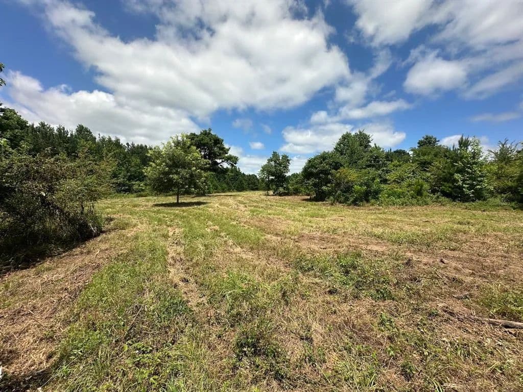 37 Acres of Land for Sale in Haworth, OK - Haworth, Oklahoma, 74740