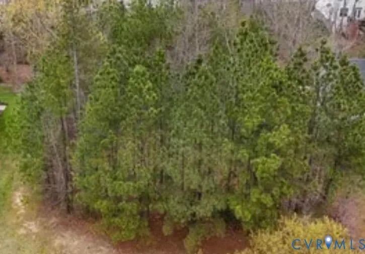 Property from 9019 Sir Britton Drive - KW - Chesterfield, Virginia, 23832
