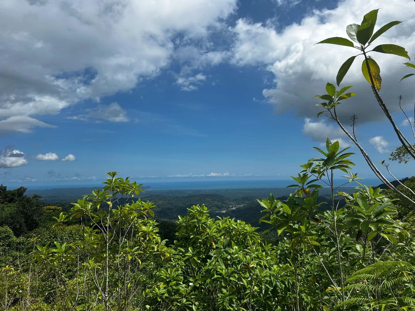 Venta de Finca para Desarrollo Turístico con Aguas Termales y Vista al Mar en Quepos - land for sale