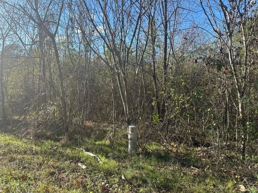 Property from 0 Mt Carmel Road - KW - Decatur, Tennessee, 37322