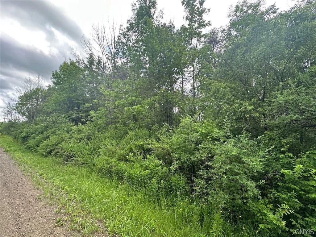 Property from Townline Road - KW - Angelica, New York, 14709