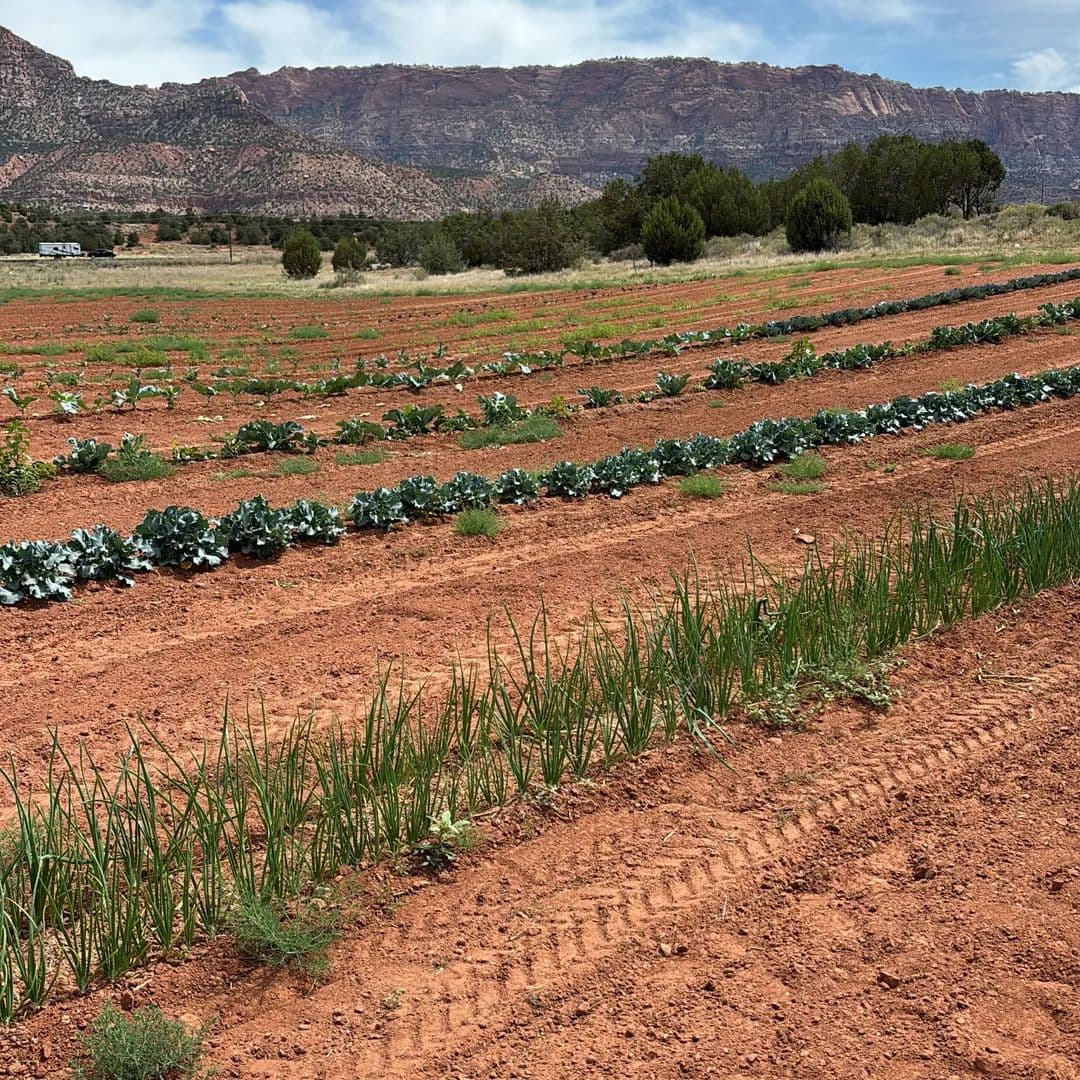 31.06 Acres of Land for Sale in Outside Washington County, UT - Utah, 84737