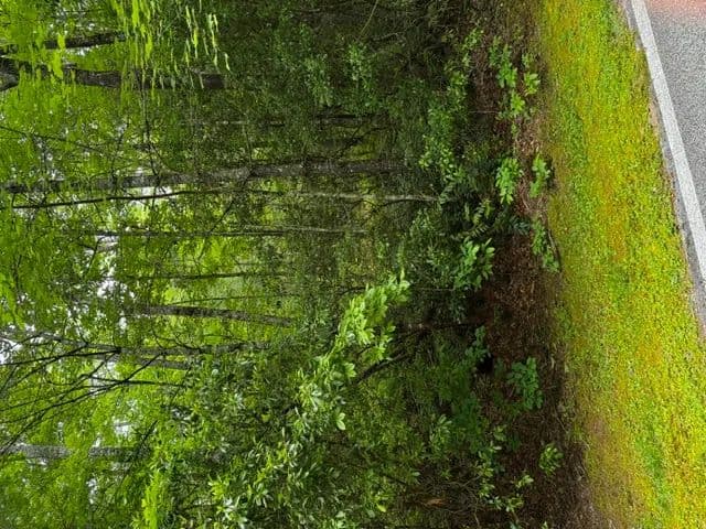 Property from 47B Big Pine Road - KW - Sapphire, North Carolina, 28774