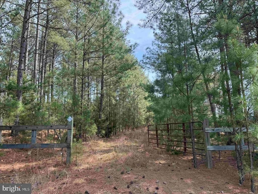 Property from BEARSKIN ROAD (TRACT: REYNOLDS A-1) - KW - Chatham, Virginia, 24531