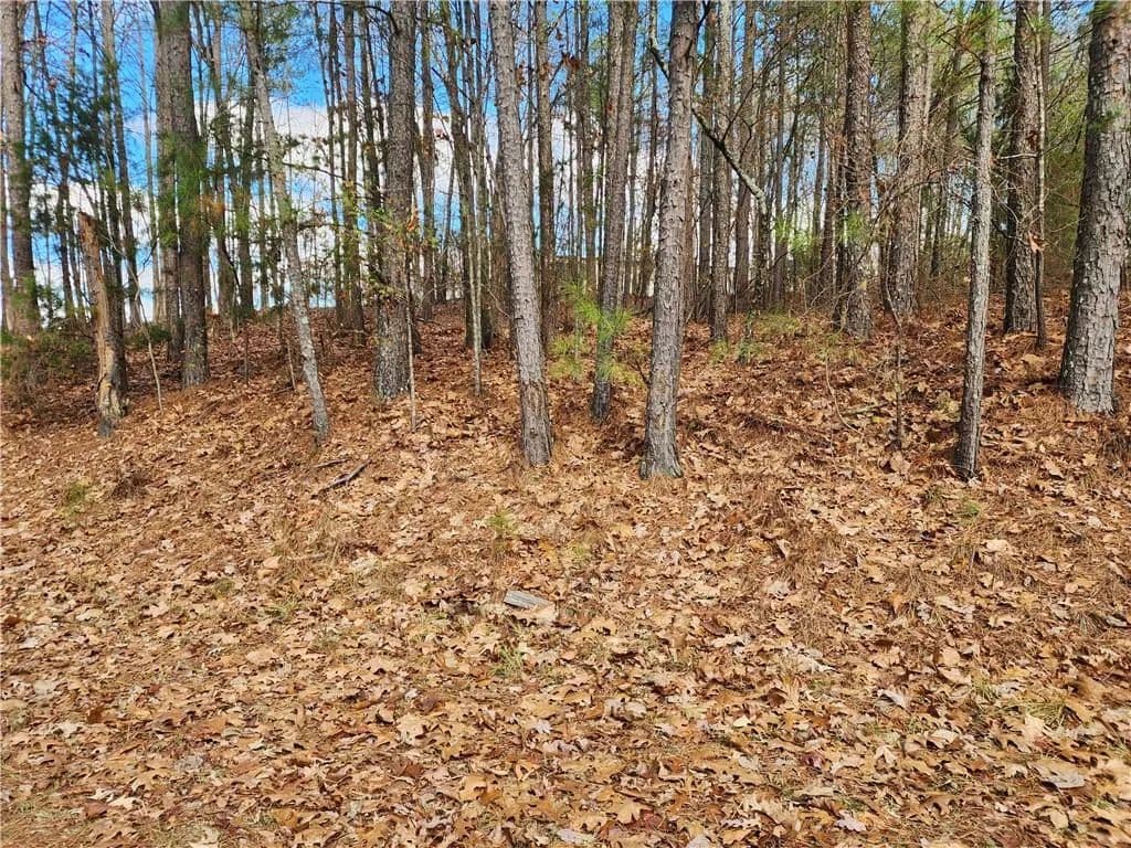 Property from 91 Cannon Ridge View - KW - Dallas, Georgia, 30132