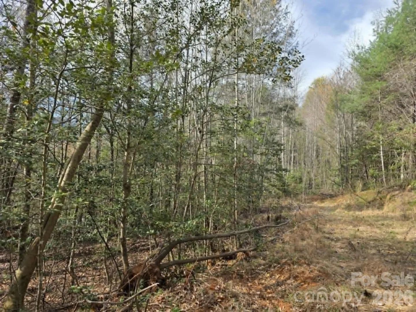 Property from Lot 5 Kerlee Lane - KW - Old Fort, North Carolina, 28762