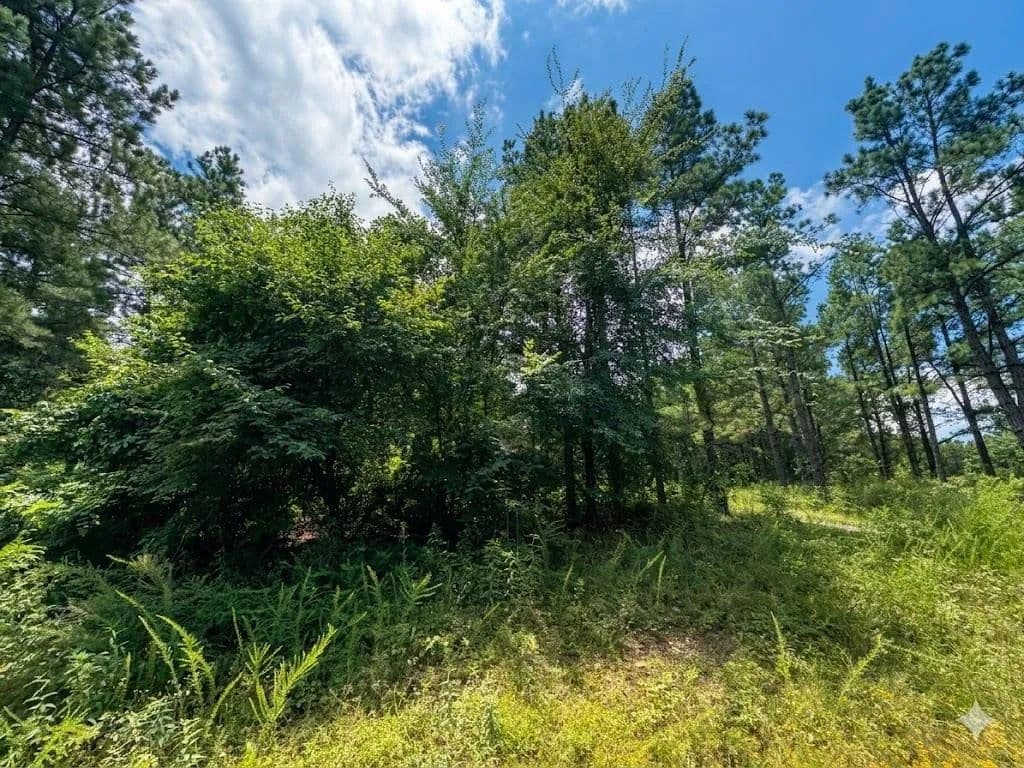 1.71 Acres of Land for Sale in Hochatown, Oklahoma - Hochatown, Oklahoma, 74728