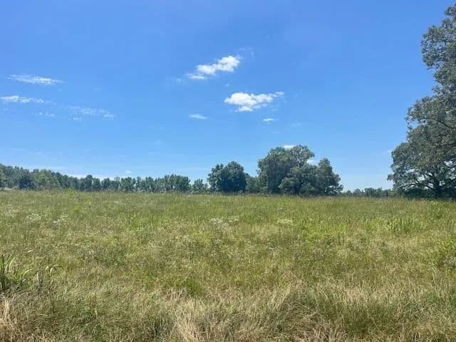 Property from 2380 WATKINS DR - KW - Williston, Tennessee, 38076