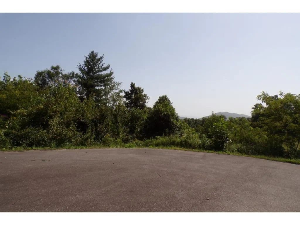 Property from Tbd Arrowhead Trail Lot 12 - KW - Mountain City, Tennessee, 37683