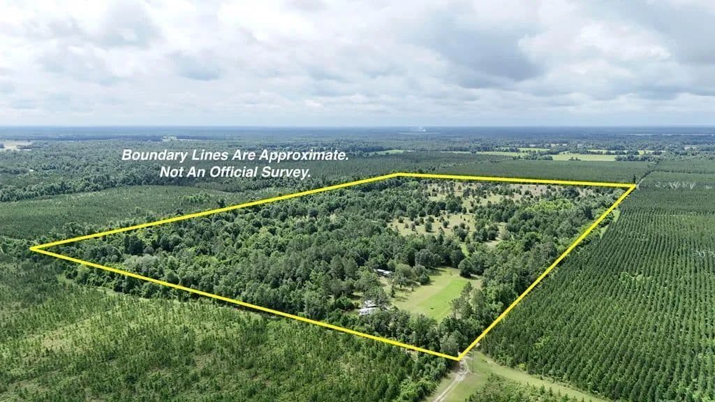 80 Acres of Land for Sale in Greenwood, Florida - Greenwood, Florida, 32443