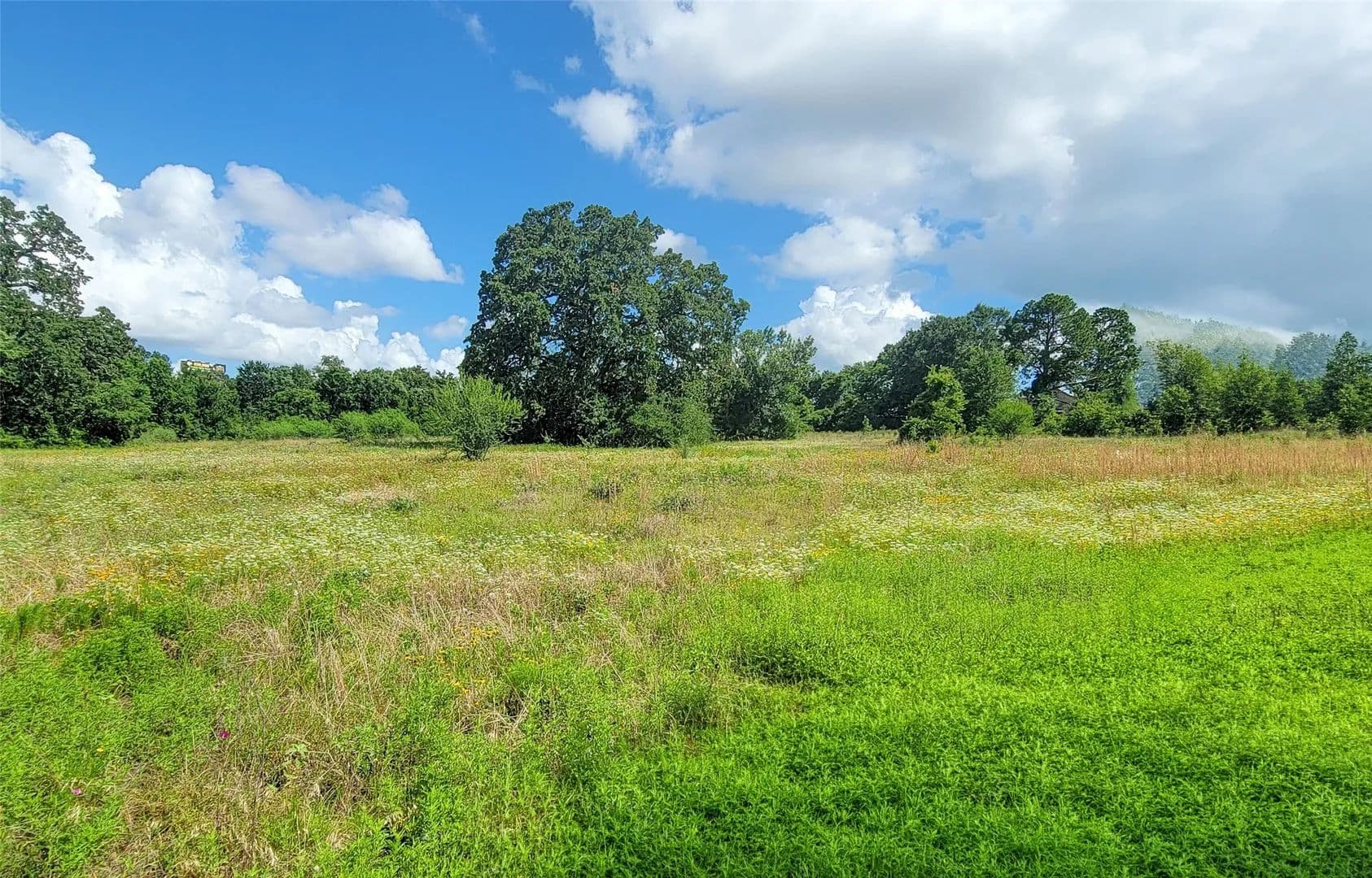 3.46 Acres of Land for Sale in Brenham, TX - Brenham, Texas, 77833
