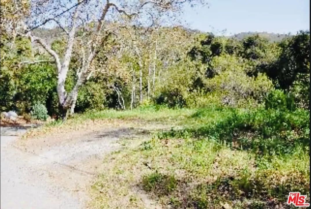 Vacant Land in Malibu - Malibu, California, 90265