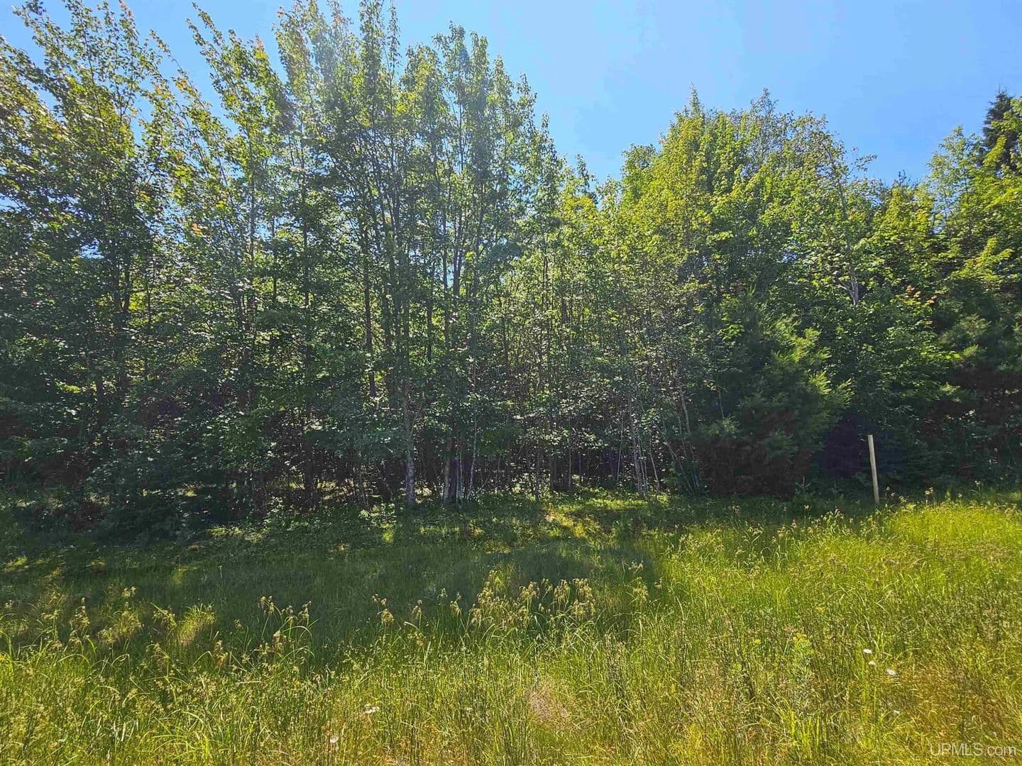Vacant Land in Houghton - land for sale