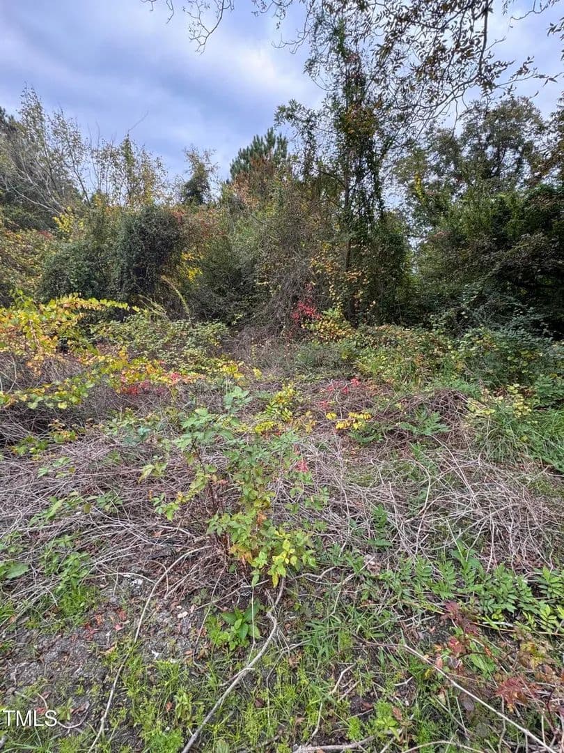 Lots & Land-Other in Spring Lake