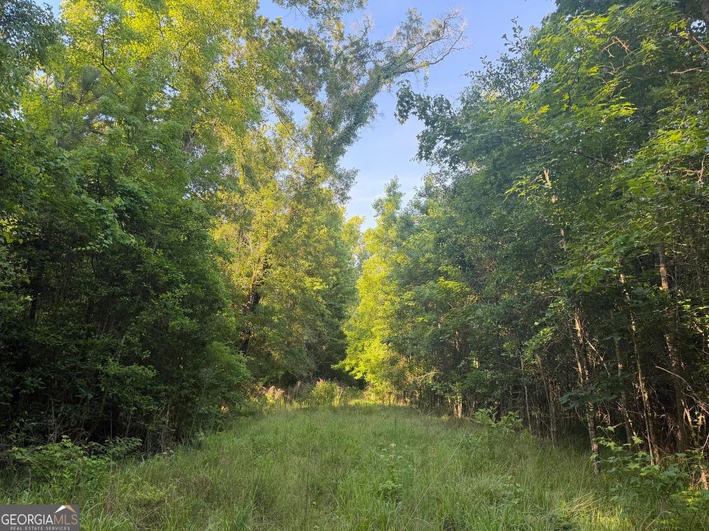 Property from 0 Branan Road - KW - Toomsboro, Georgia, 31090