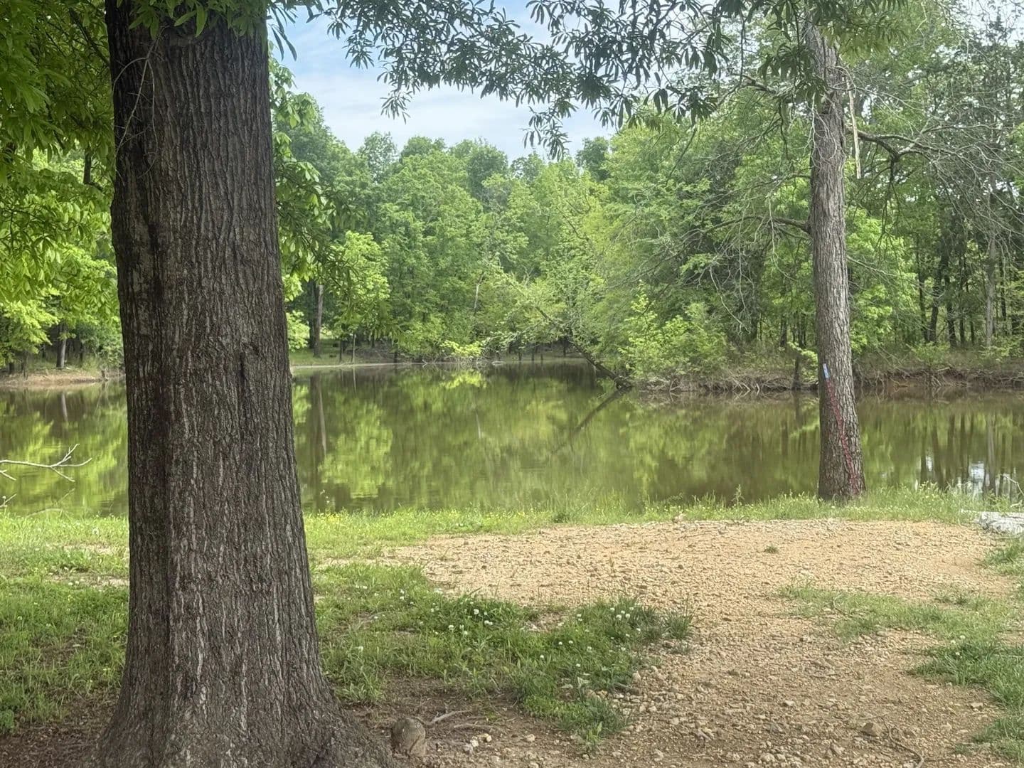 1 Acre of Land for Sale in Clifton, TN - Clifton, Tennessee, 38425