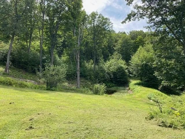 Land for Sale in Elizaville, NY - Elizaville, New York, 12523