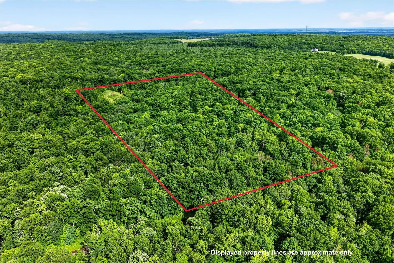 20 Acres of Land for Sale in Trego, Wisconsin - Trego, Wisconsin, 54888