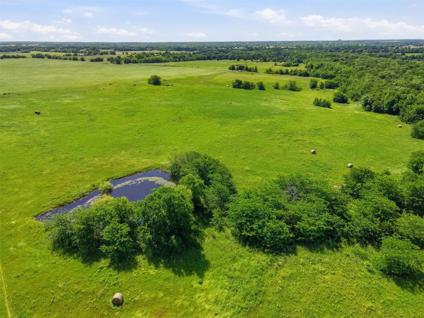 140 Acres of Land for Sale in Commerce, Texas - Commerce, Texas, 75428