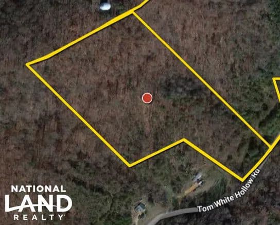 Bulls Gap Mountain Acreage - Mohawk, Tennessee, 37810