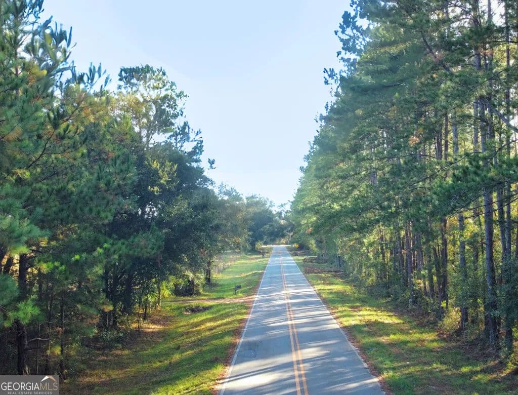 Property from 0 Mosley Road - KW - Claxton, Georgia, 30417