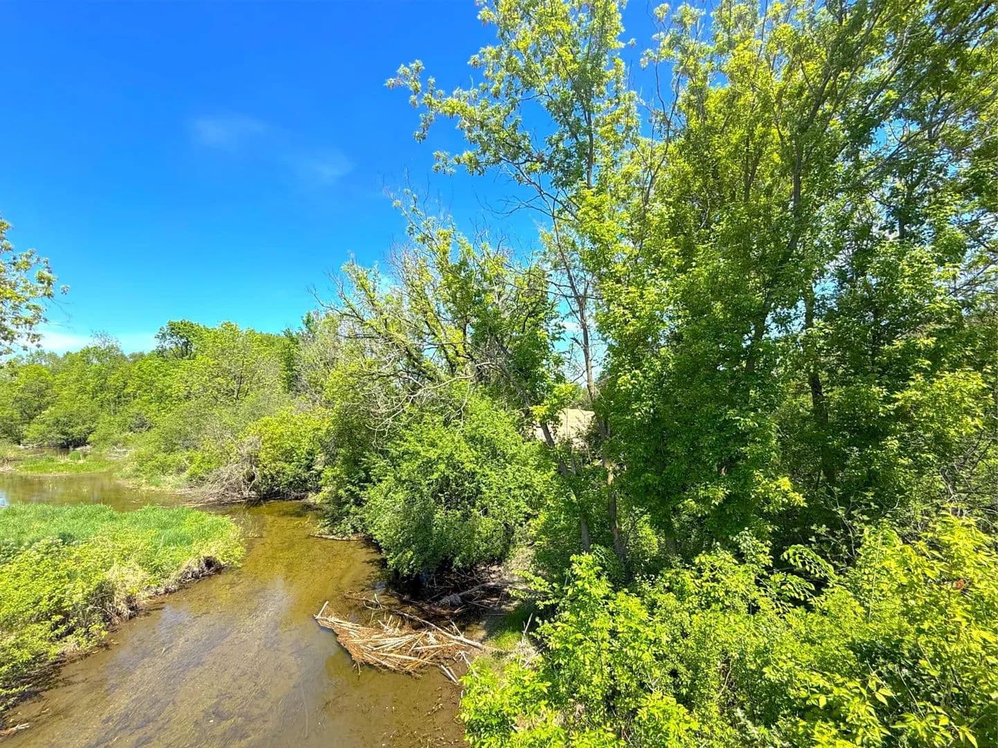 10 Acres of Land for Sale in Clearwater, Minnesota - Clearwater, Minnesota, 55320