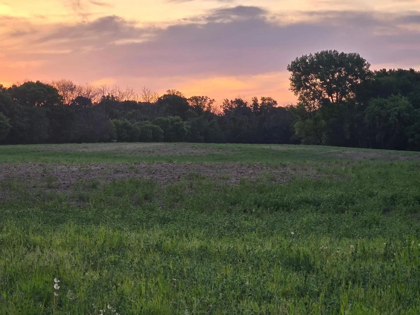 Property from TBD Parcel A County Rd 5 NW - KW - Princeton, Minnesota, 55371