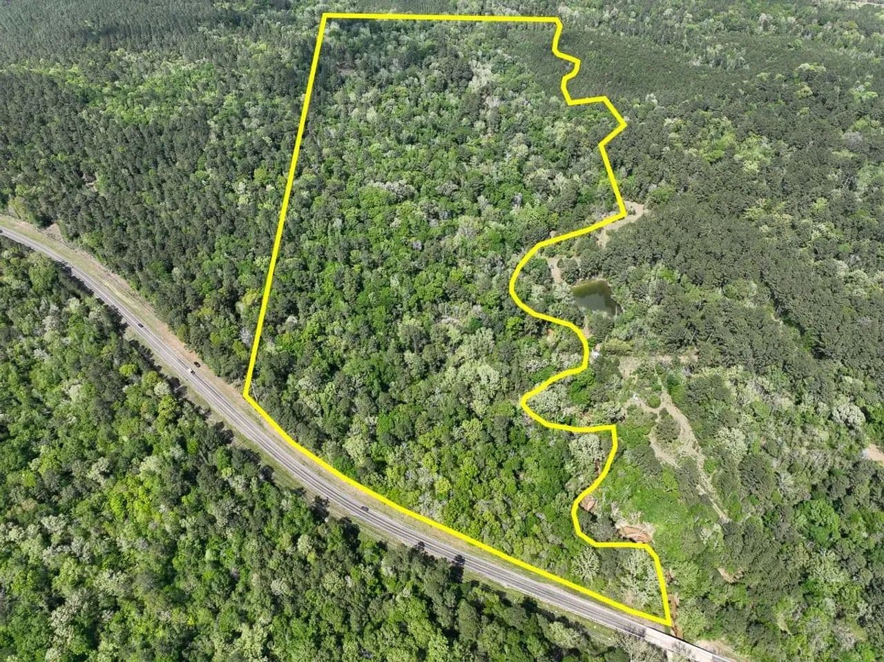 54 Acres | FM 2665 | AA6469 - Goodrich, Texas, 77335