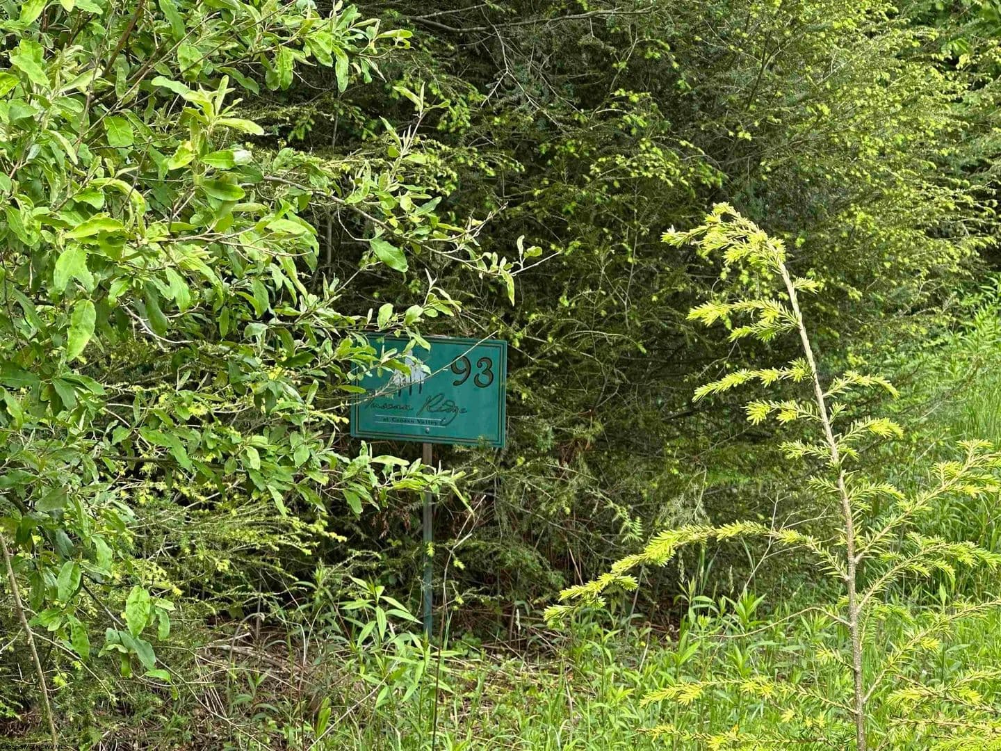 1.31 Acres of Land for Sale in Davis, West Virginia - Davis, West Virginia, 26260