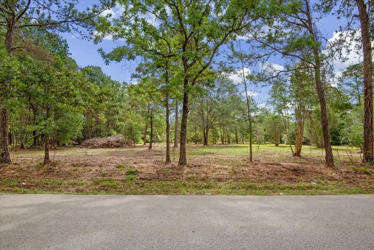 60.06 Acres of Land for Sale in Plantersville, Texas - Plantersville, Texas, 77363