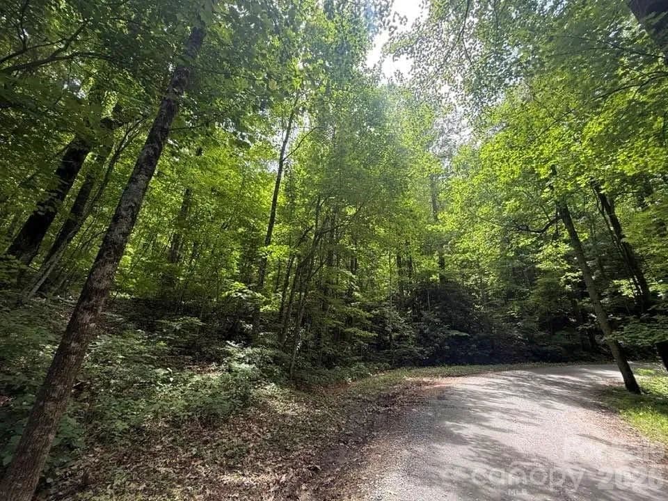 0.88 Acres of Land for Sale in Tryon, NC - Tryon, North Carolina, 28782