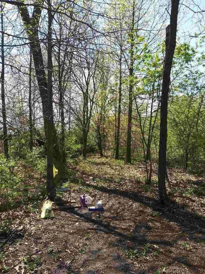 Property from 100 4500 Road - KW - , Illinois, 60958