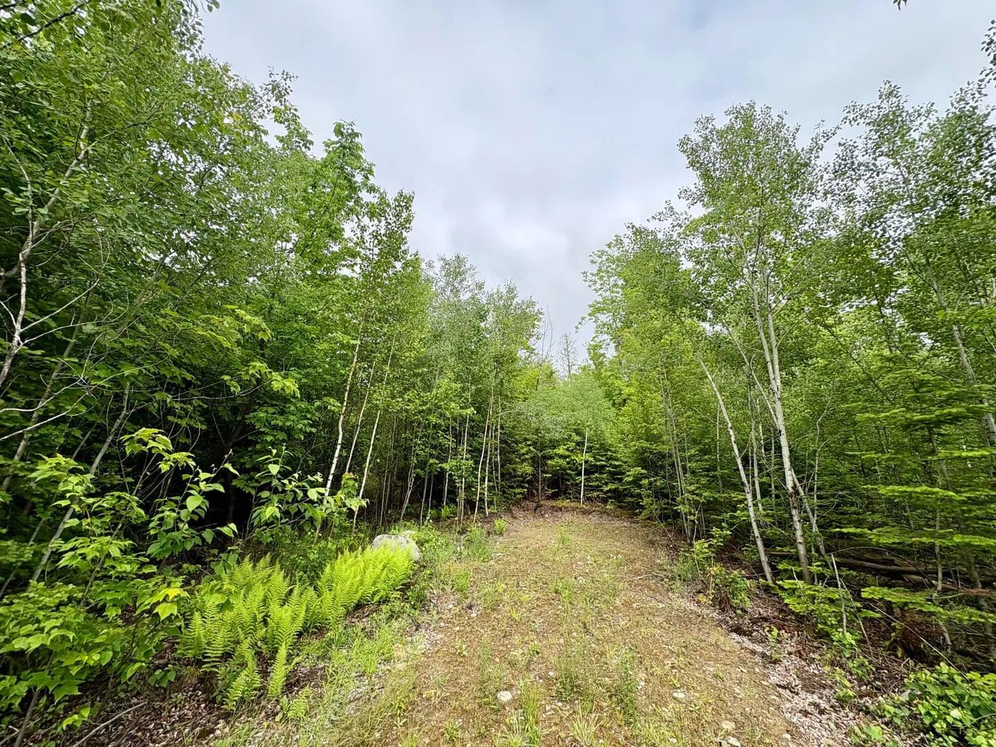 1.04 Acres of Land for Sale in Lee, ME - Lee, Maine, 04455