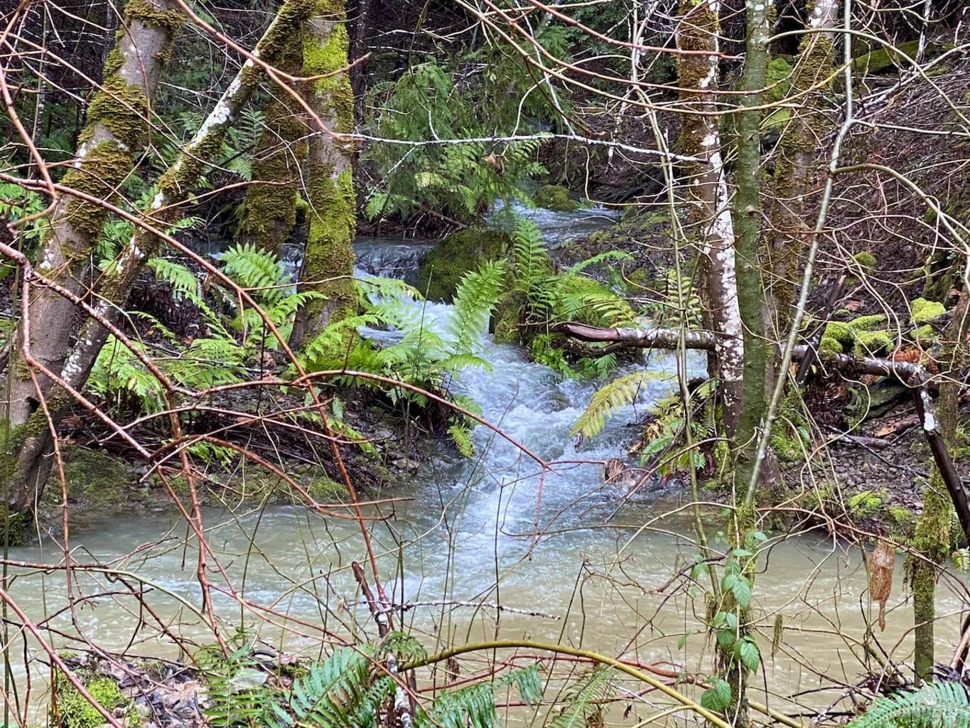 Property from Lakeshore Drive - KW - Willits, California, 95490