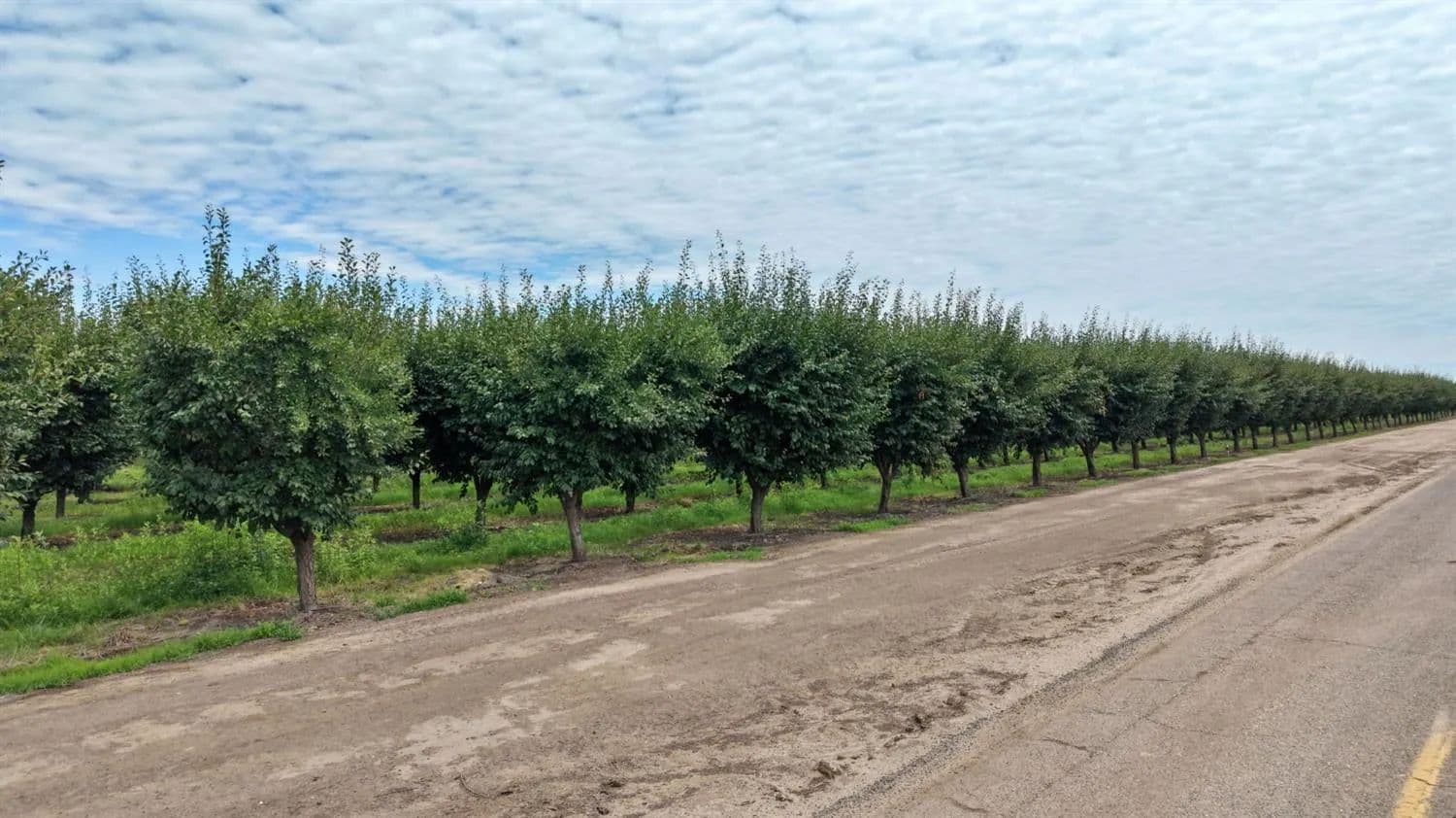 Property from 6539 Road 29 - KW - Madera, California, 93637