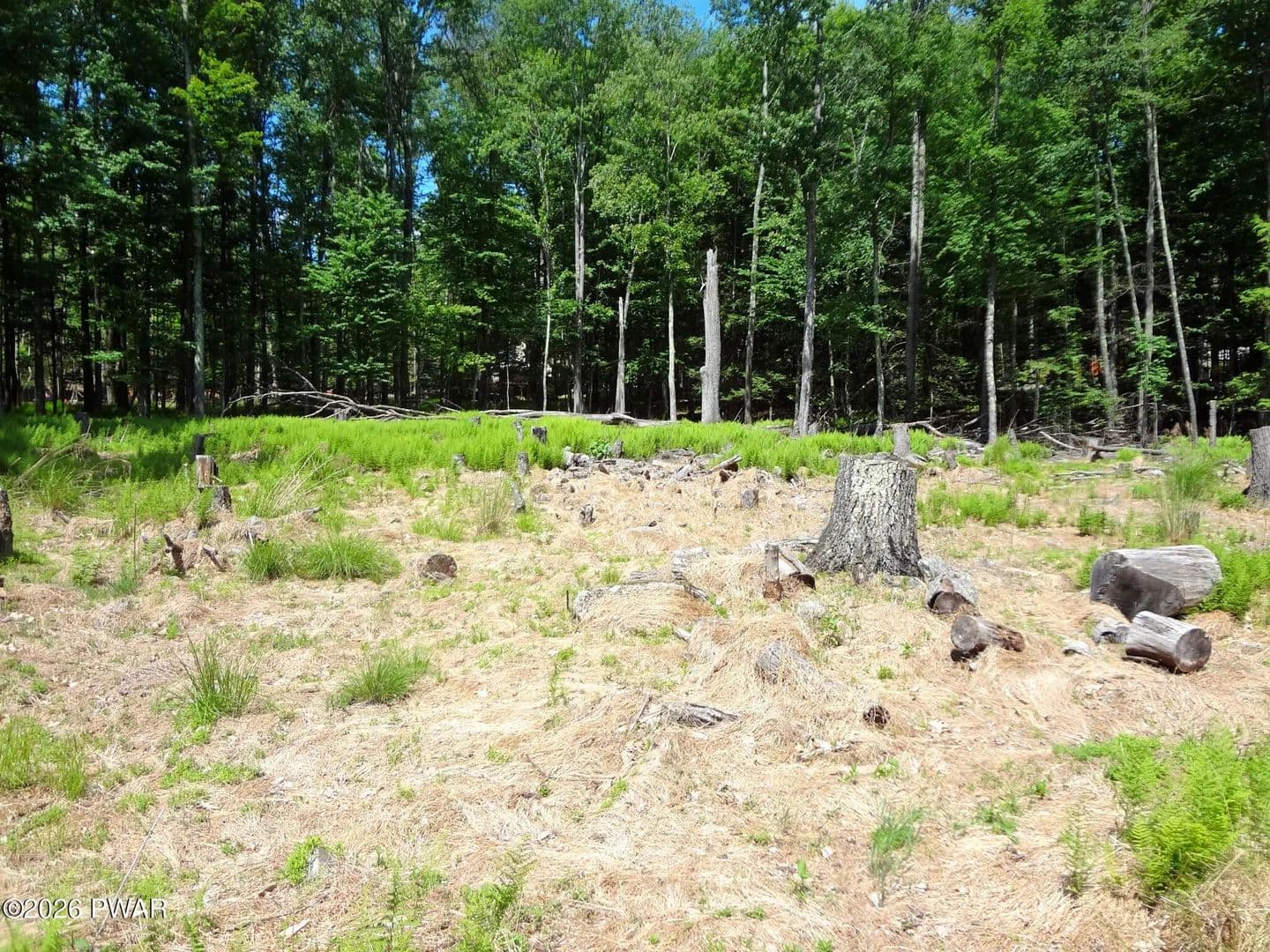 Lots & Land-Other in Lakeville - land for sale