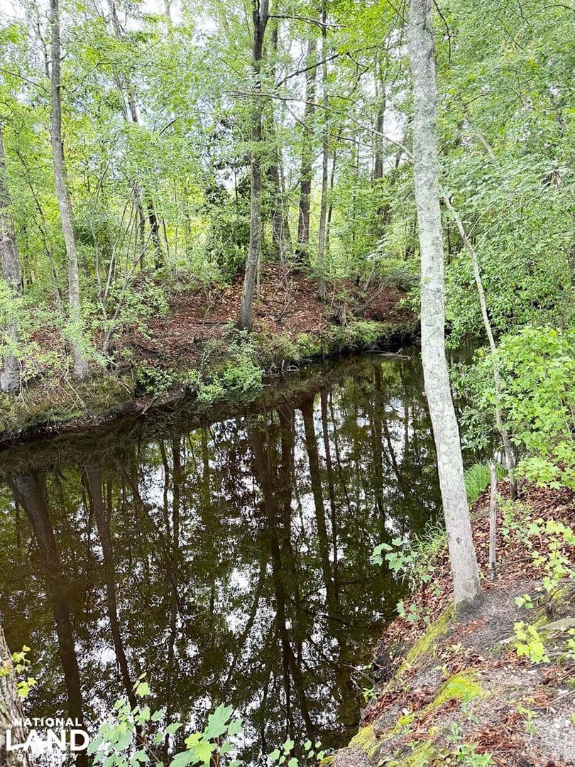 Dudley Street Canal Deer Turkey - Bennettsville, South Carolina, 29512