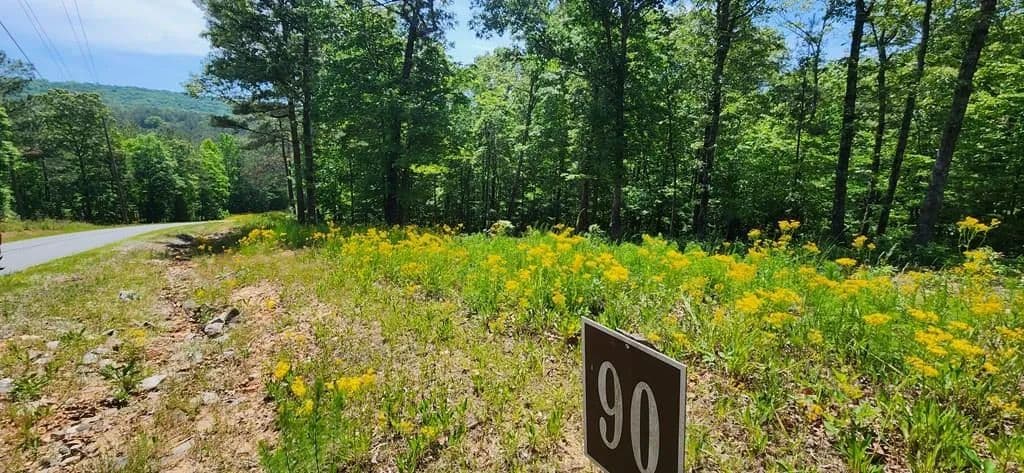 Lots & Land-Other in Ellijay - land for sale