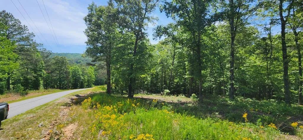 Lots & Land-Other in Ellijay - Ellijay, Georgia, 30536