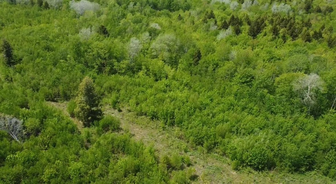 1.19 Acres of Land for Sale in Springhill, NS - land for sale