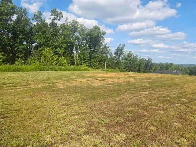 Land -Agricultural (Not Zoned) in Louisa - Louisa, Kentucky, 41230
