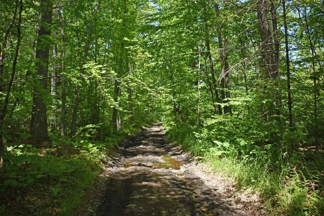 Property from 401 Sixth Range Road - KW - Pembroke, New Hampshire, 3275