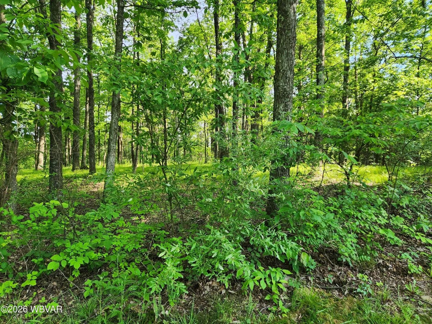 Property from PARCEL 279 OAK LANE - KW - Muncy Valley, Pennsylvania, 17758
