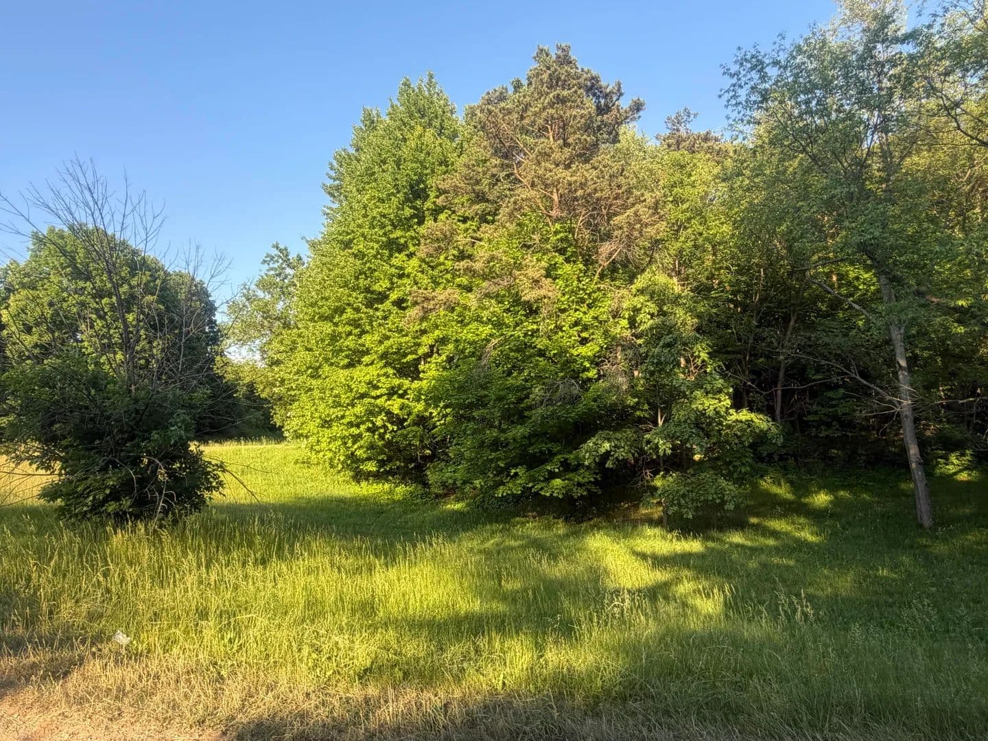 Property from Pifer Road - KW - Delton, Michigan, 49046