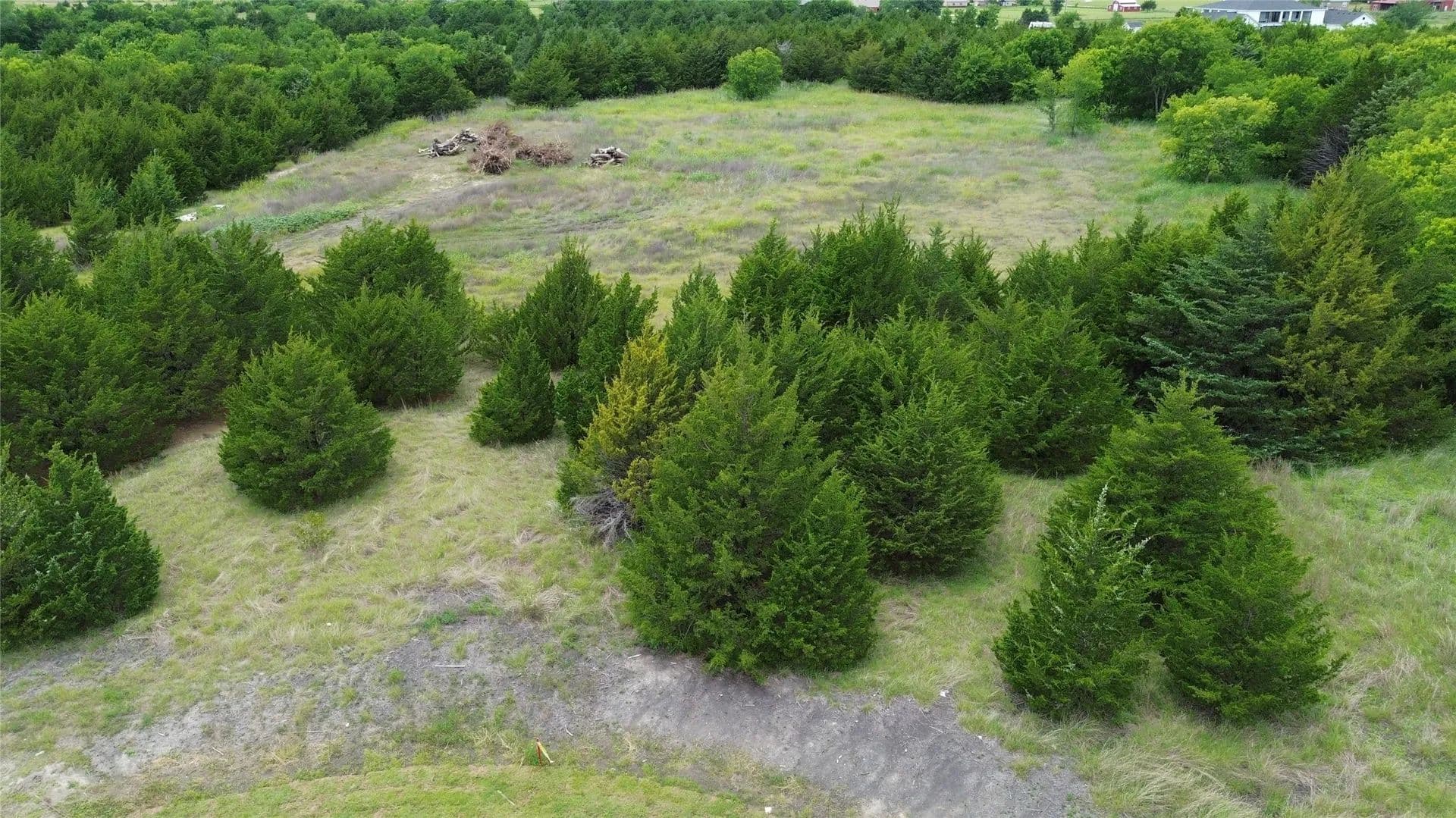 9.28 Acres of Land for Sale in Nevada, Texas - Nevada, Texas, 75173