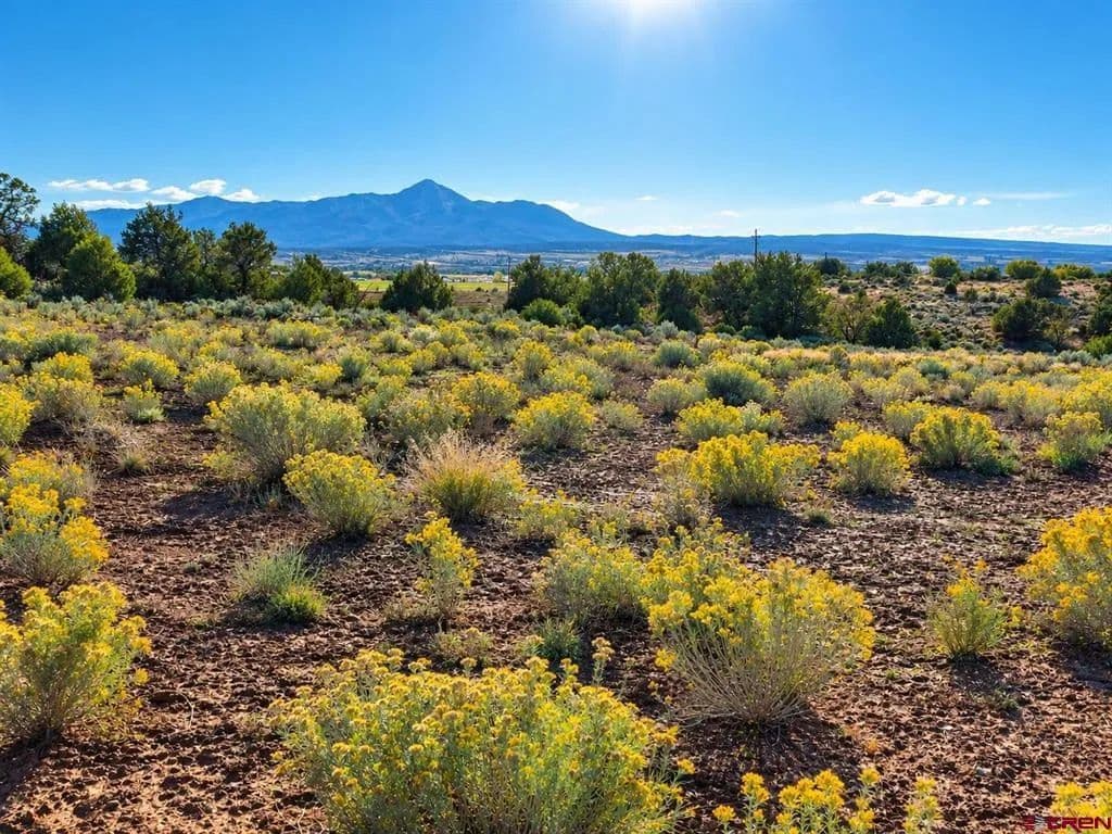 Lots & Land-Other in Mancos - Mancos, Colorado, 81328