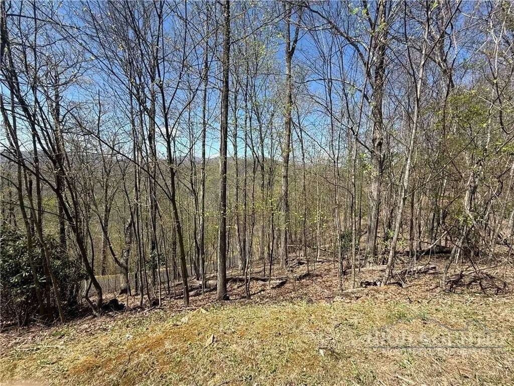 Lots & Land-Other in Newland - land for sale
